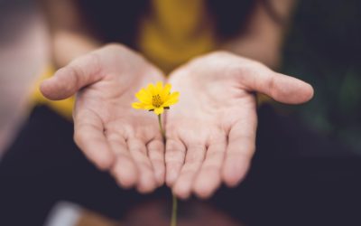 Trockene Hände durch Desinfektion und häufiges Händewaschen?